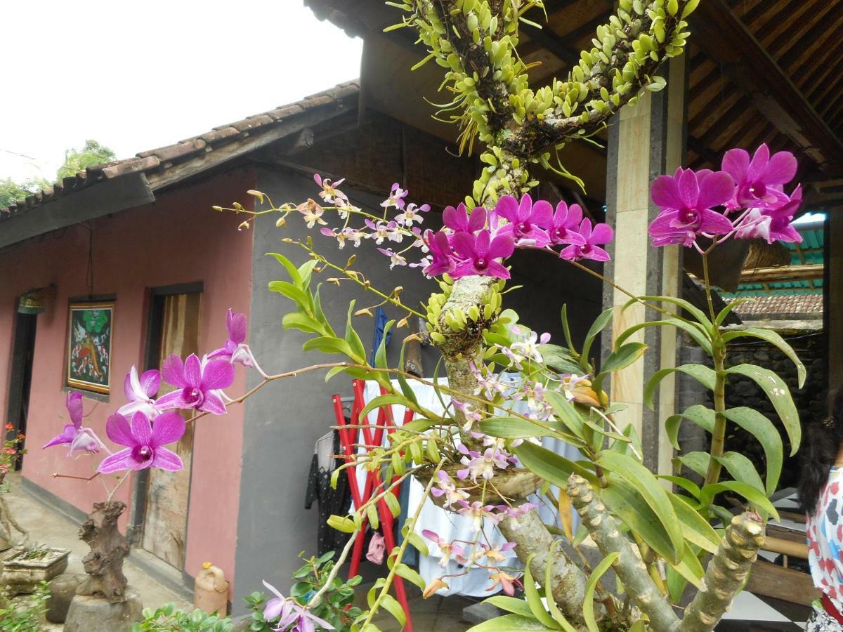 Milla Homestay サイドメン エクステリア 写真